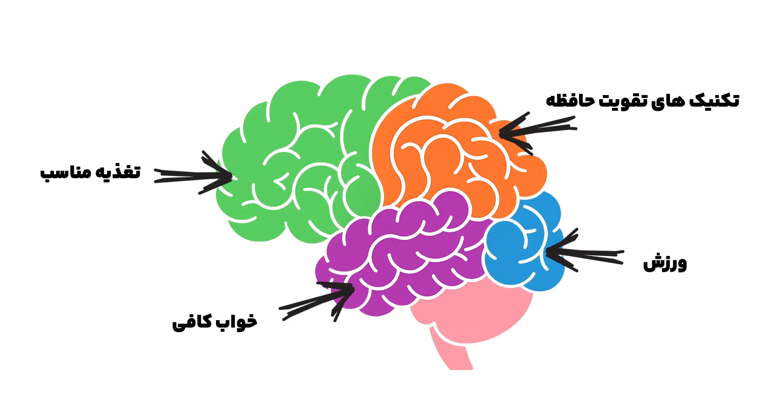 عوامل عملی تقویت حافظه