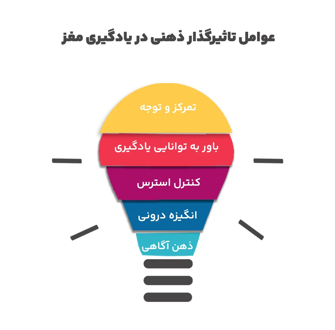 عوامل ذهنی تاثیرگذار در یادگیری مغز