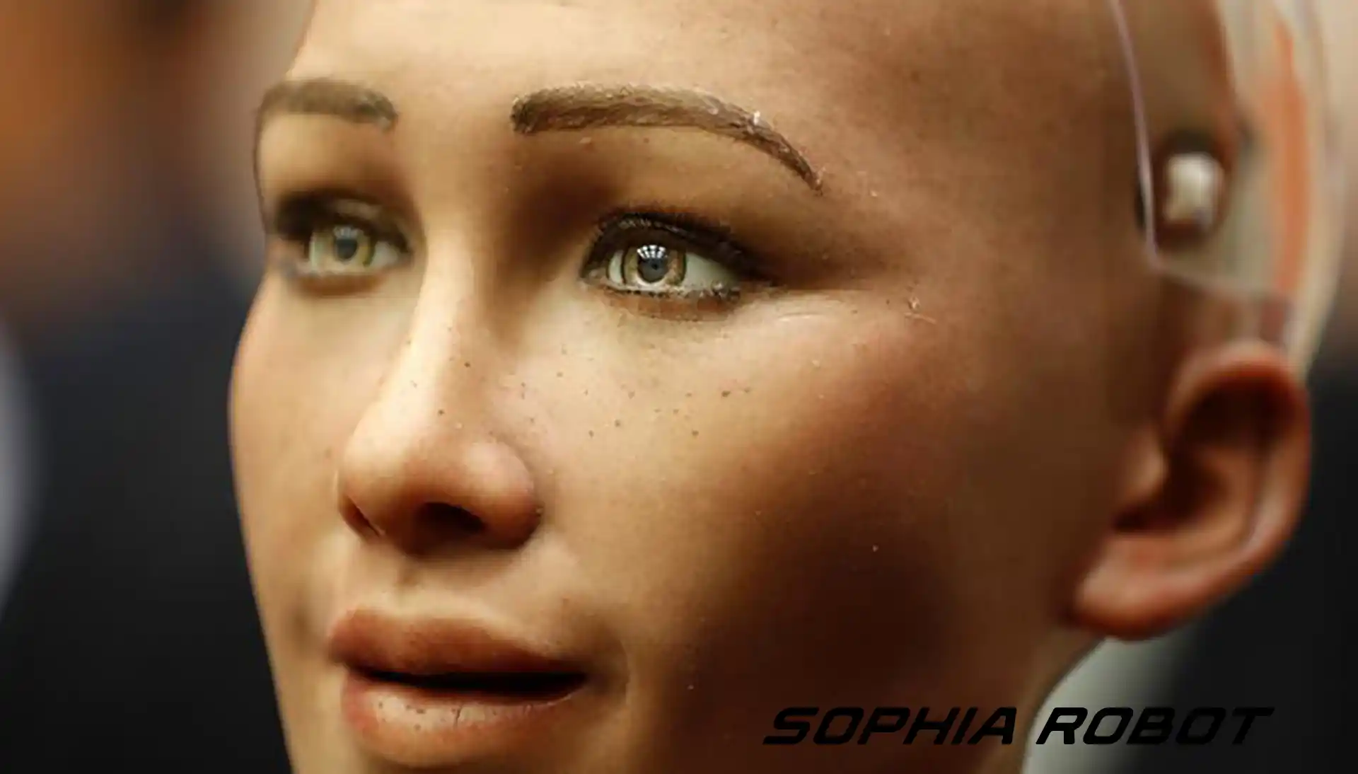 sophia robot