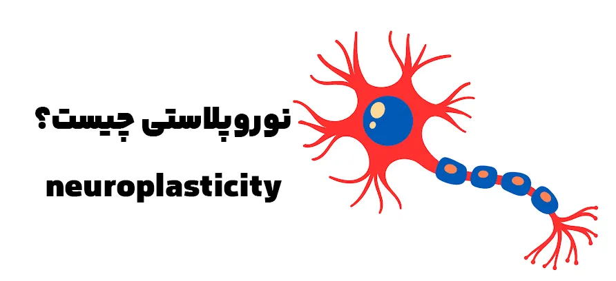 نوروپلاستی چیست؟