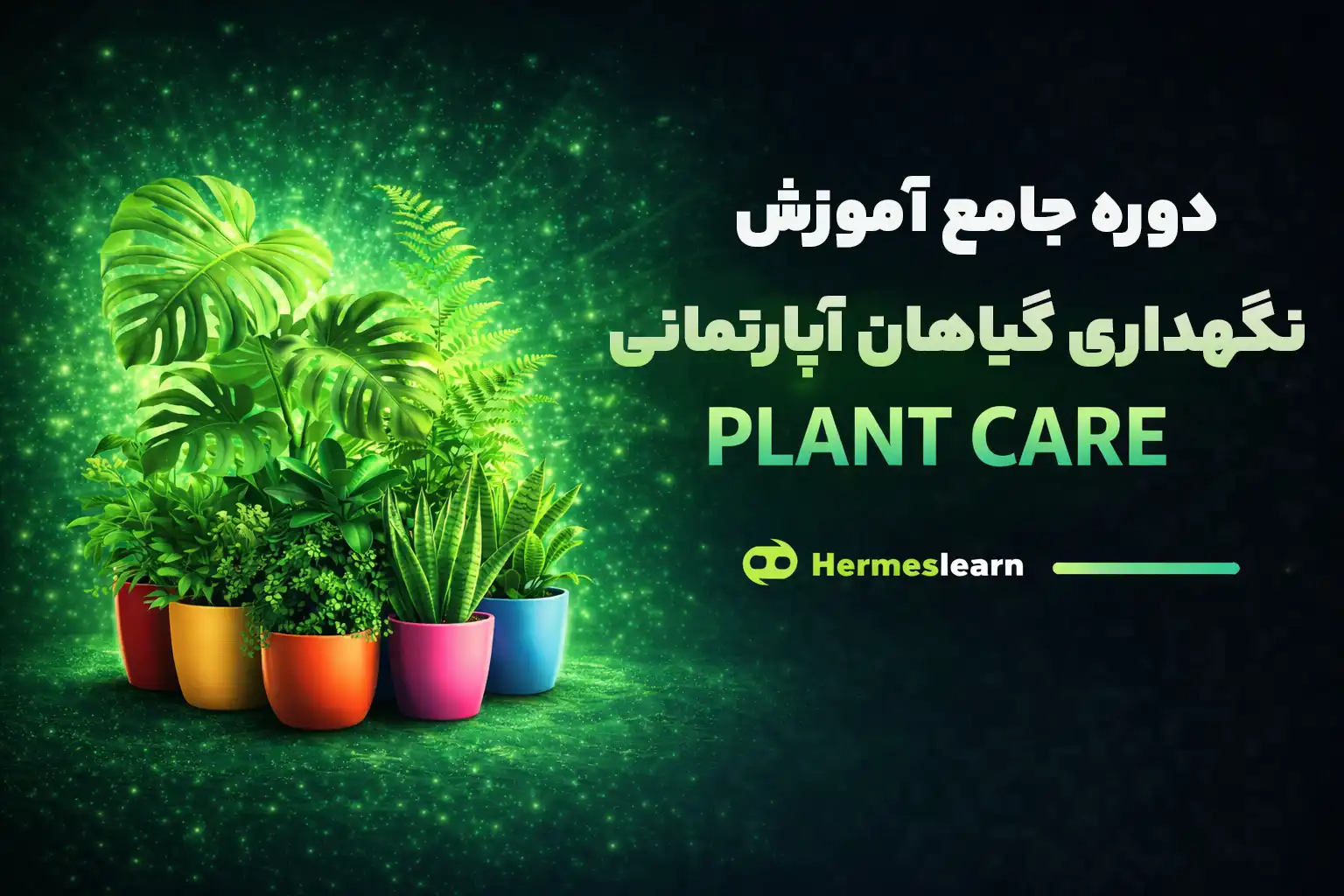دوره جامع آموزش نگهداری گیاهان آپارتمانی