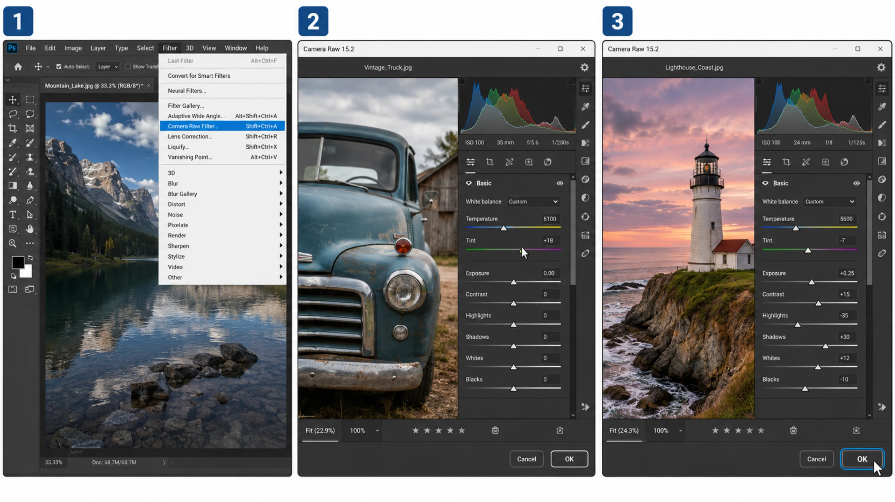 مراحل تصویری - روش Camera Raw Filter: