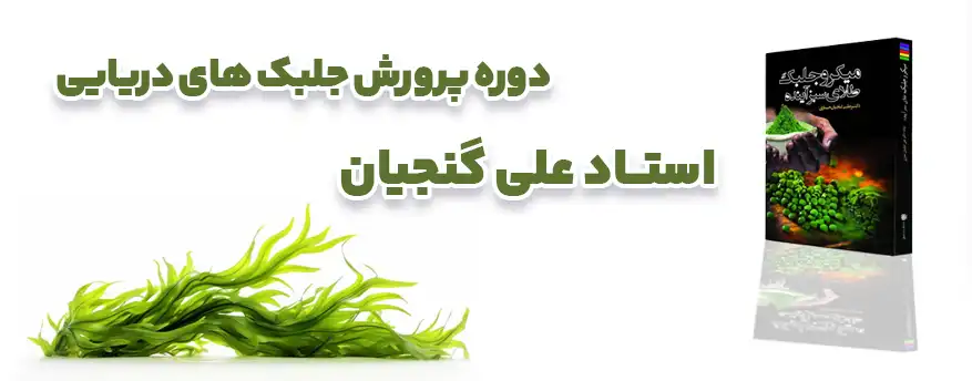 دوره پرورش جلبک دکتر علی گنجیان
